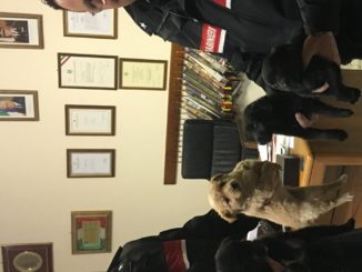 cagnolini 2 radio laser news matera potenza puglia basilicata