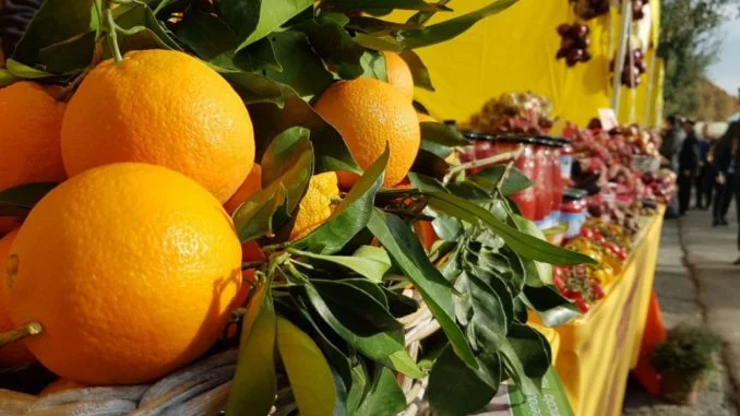 campagna amica