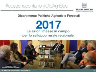 Offerta formativa regionale