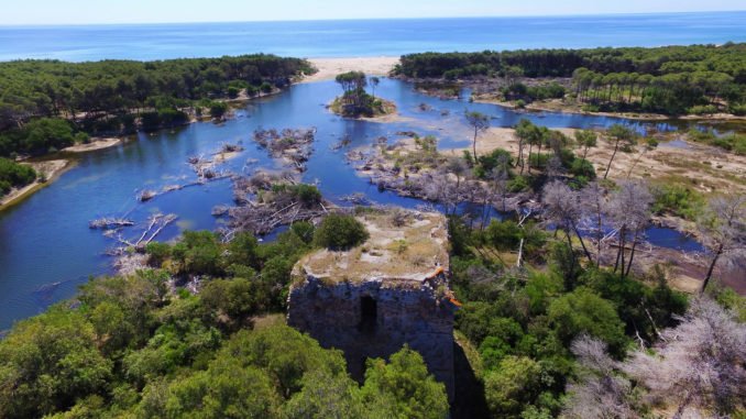 marinadiginosa01