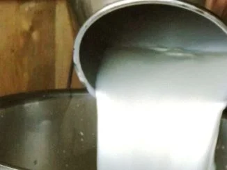 agricoltura