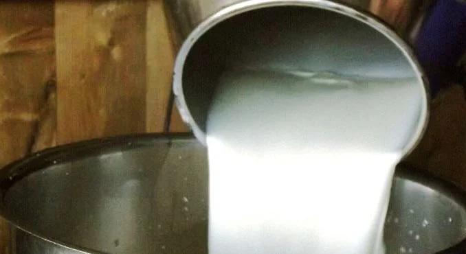 latte-770x370