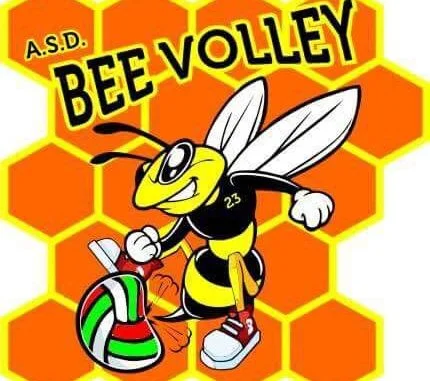 volley2