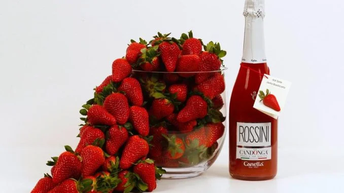 candonga fragola top quality e rossini candonga