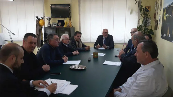 incontro cinghiali