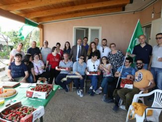 Offerta formativa regionale