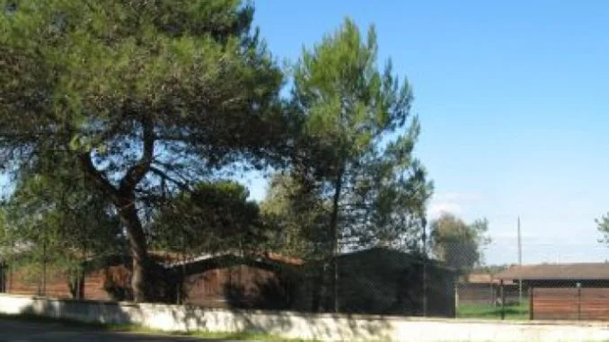 2_villaggio pino di lenne