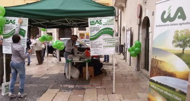 gazebo-inac-cia