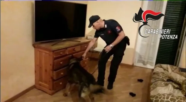 FOTO N. 1