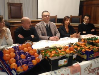 a palagiano la 28^ sagra del mandarino 53 2sagra radio laser news matera potenza puglia basilicata