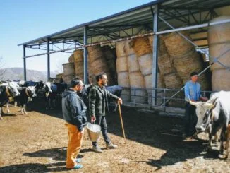 Alsia su puntata Linea Verde dedicata a via Herculia agricoltura