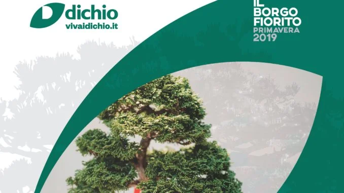 workshop bonsai header