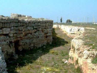 manduria (ta). la coldiretti nella gestione del parco dei messapi. l’agricoltura al servizio della tutela e promozione del territorio