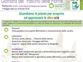 agricoltura