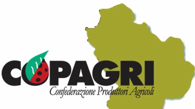 copagri logo