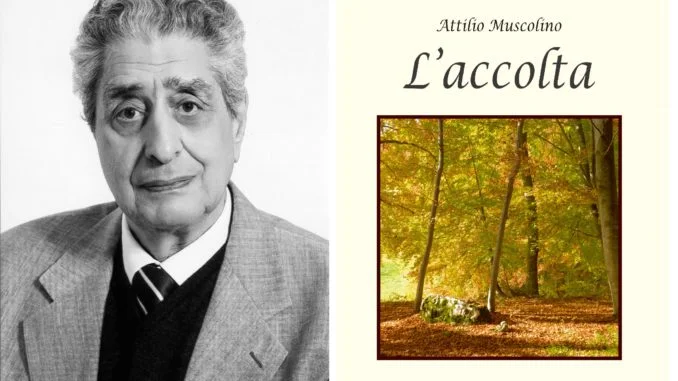 Attilio Muscolino e Copertina (2)