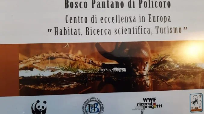 lontra wwf