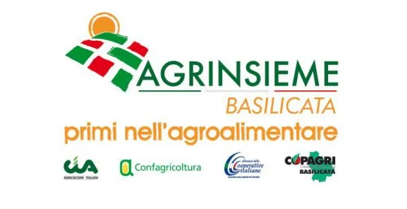 agrinsieme