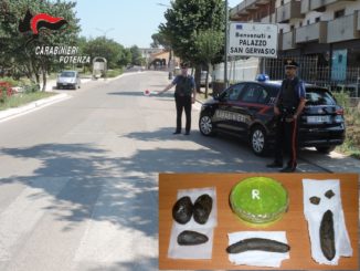 palazzo san gervasio (pz): teneva nascosti in camera da letto 50 grammi di droga. arrestato dai carabinieri.