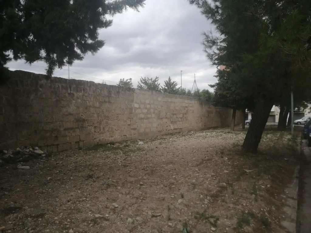 GRAVINA - Via Pio XII: al via interventi di manutenzione del verde pubblico