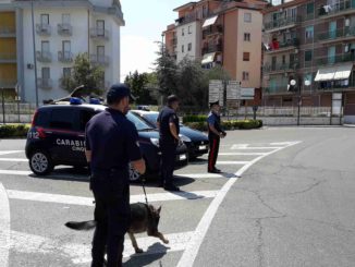 montalbano jonico (mt): contrasto allo spaccio di droga. i carabinieri arrestano donna del luogo 29 foto comunicato radio laser news matera potenza puglia basilicata
