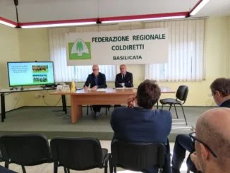 agricoltura