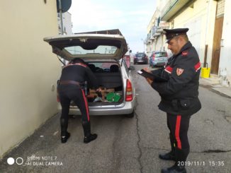 FERRANDINA (MT). STRAPPA LA BORSA AD UNA SIGNORA E FUGGE IN MACCHINA. I CARABINIERI ARRESTANO 35ENNE MAROCCHINO