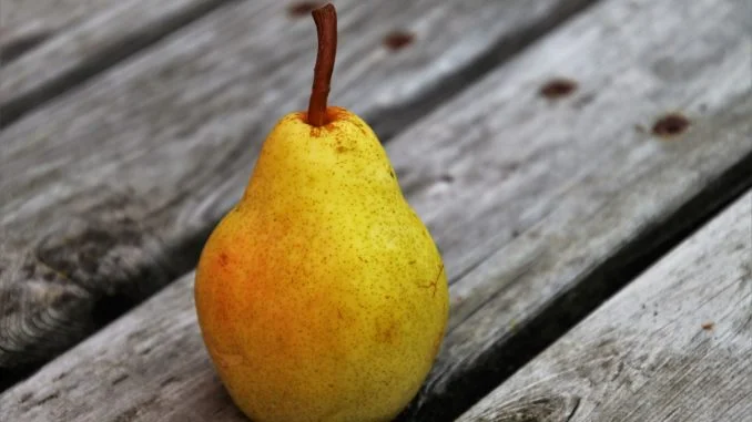 pear-3667632_1920