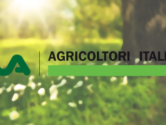 cinghiali: cia, si può e si deve fare di più per abbattimento 8 cia agricoltori header radio laser news matera potenza puglia basilicata