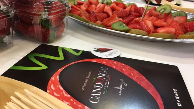 Foto Club Candonga - Fragole