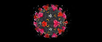 corona virus