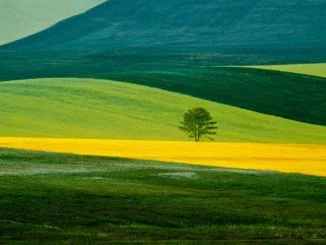 Tavolo Verde Puglia e Basilicata: intervenire in tempi brevi