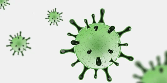 CORONA VIRUS
