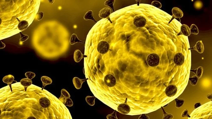 coronavirus