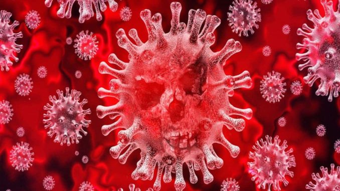 coronavirus-445461