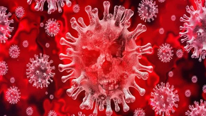 coronavirus-445461