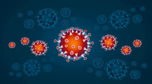 coronavirus