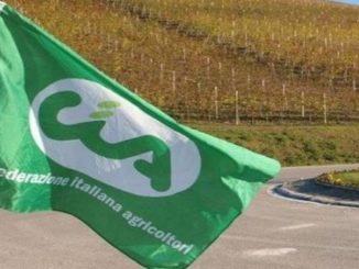 bandiera cia radio laser news matera potenza puglia basilicata