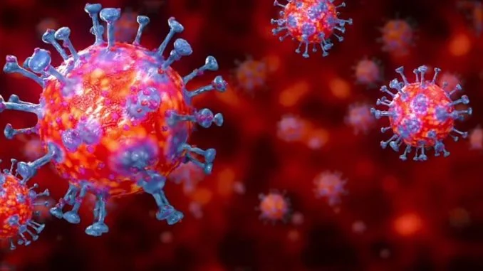 coronavirus r
