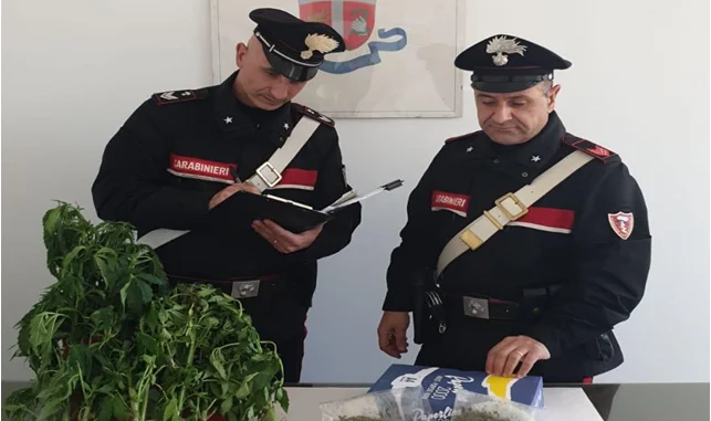 Altamura - arresto droga