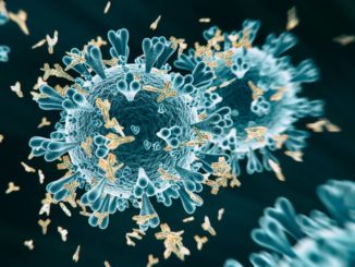 basilicata: emergenza covid-19, aggiornamento 01 ottobre (dati 30 settembre). 33 positivi 1 coronavirus neuro radio laser news matera potenza puglia basilicata