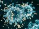 coronavirus neuro radiolaser news matera potenza puglia basilicata