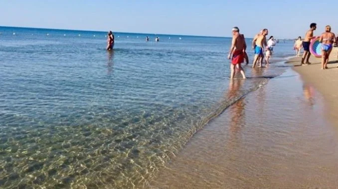 3770704_150878_768x391