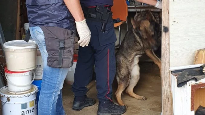 Aliquota operativa e cinofili