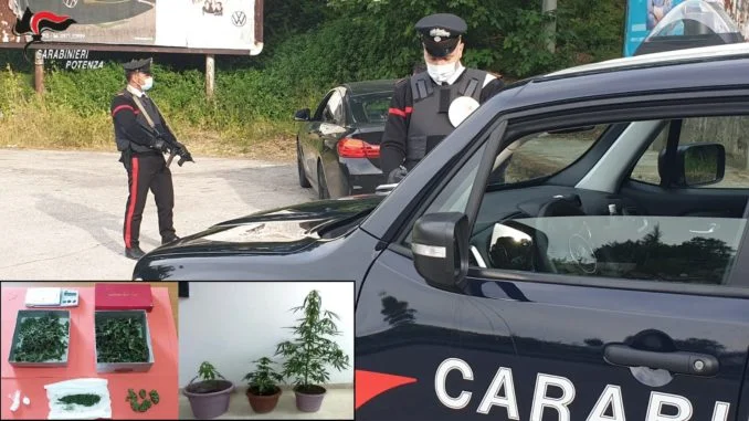 Foto stampa