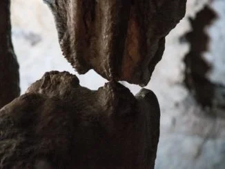 1 luglio 2020: dopo 115 giorni riaprono in tutta la loro bellezza le Grotte di Pertosa-Auletta