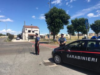 pisticci (mt): sorpresi con un carico di albicocche asportate poco prima. i carabinieri denunciano 3 persone originarie di brindisi 49 pwfd1637 1 radiolaser news matera potenza puglia basilicata
