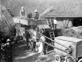 LA NOSTRA STORIA. QUEI GIUGNO DEL DOPOGUERRA QUANDO I MIETITORI LECCESI INVADEVANO PISTICCI