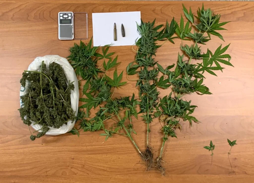 MONTESCAGLIOSO (MT): I CARABINIERI ARRESTANO 22ENNE SORPRESO A COLTIVARE MARIJUANA.