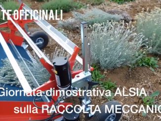 agricoltura